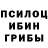Псилоцибиновые грибы Magic Shrooms Zalihan Terkakieva
