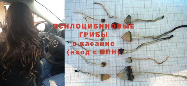 мескалин Алексин