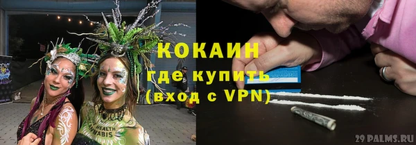 прущие грибы Алексеевка