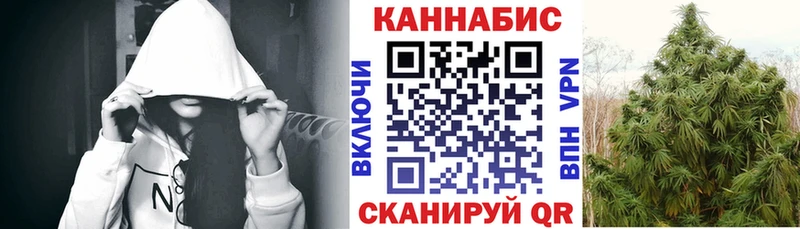 где купить   Кувшиново  Шишки марихуана White Widow 
